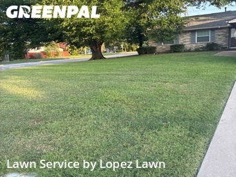 Lawn Care Service nearby Lewisville, TX, 