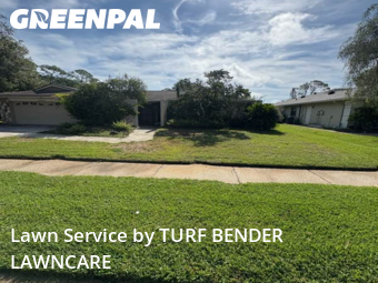 Lawn Cutting nearby Palm Harbor, FL, 