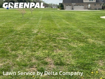 Lawn Mow nearby Bowling Green, KY, 