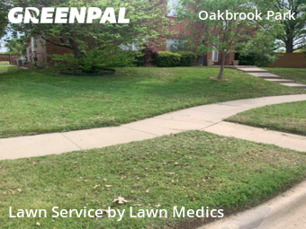 Yard Mowing nearby Frisco, TX, 