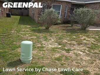 Grass Cut nearby Valparaiso, FL, 