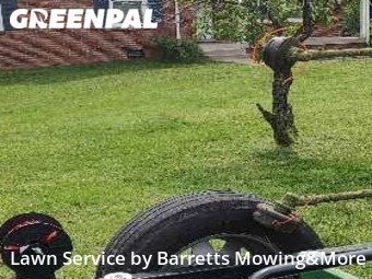 Grass Cutting nearby Clarksville, TN, 