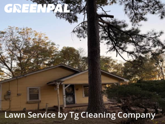 Backyard Mowing in Bessemer, 35022, Lawn Mowing by Tg Cleaning Company , work completed in Nov , 2025