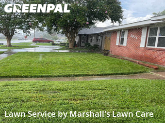 Grass Cut nearby Kenner, LA, 