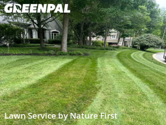 Lawn Maintenance nearby Zionsville, IN, 
