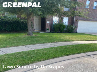 Grass Cut nearby Katy, TX, 