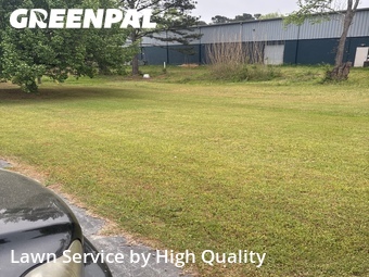 Lawn Mow nearby Riverdale, GA, 
