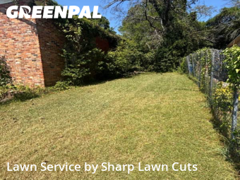 Yard Cutting nearby Macon, GA, 