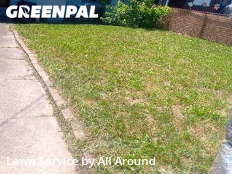 Lawn Maintenance nearby Duquesne, PA, 