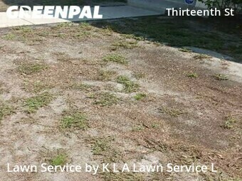 Lawn Service nearby St. Petersburg, FL, 