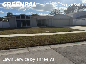 Lawn Servicein Tampa,33634,Lawn Cut by Three Vs , work completed in Dec , 2025