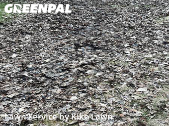 Lawn Cut nearby Mendota Heights, MN, 