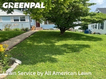 Yard Cutting nearby St. Louis, MO, 