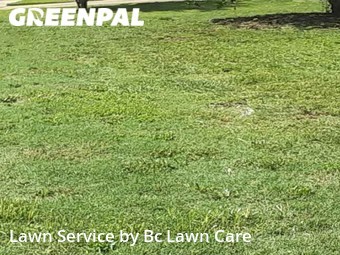 Lawn Cutting nearby Raleigh, NC, 