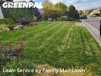 Yard Cutting nearby Lone Tree, CO, 