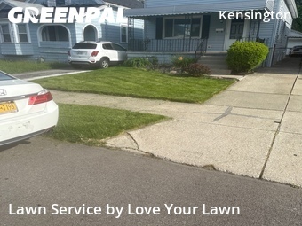 Yard Cutting nearby Buffalo, NY, 