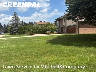 Grass Cut nearby Farmington Hills, MI, 
