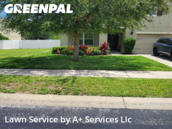 Lawn Mow nearby Spring Hill, FL, 