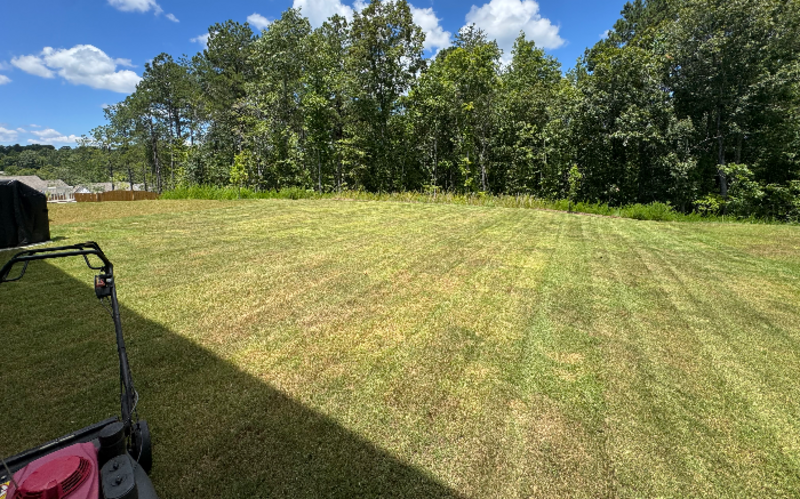 Work Image 1