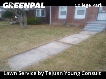 Yard Work in Detroit, 48235, Lawn Upkeep by Tejuan Young Consult, work completed in Nov , 2025