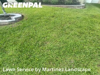 Lawn mowed in Tavares, 32778