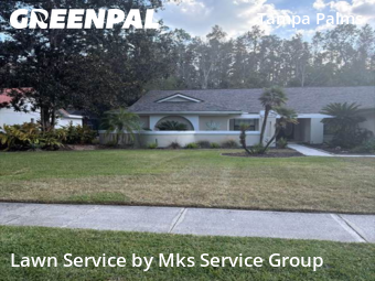 Grass Cuttingin Tampa,33647,Grass Cut by Mks Service Group, work completed in Dec , 2025