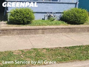 Grass Cut nearby Kansas City, MO, 