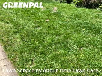 Lawn Maintenance nearby Detroit, MI, 