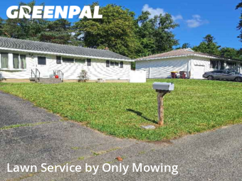 Grass Cutting nearby Albany, NY, 