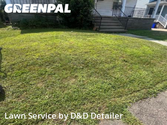 Grass Cutting in Scranton, 18504, Yard Mowing by D&D Detailer , work completed in Nov , 2025