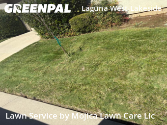Work completed by yard-maintenance-professionals-in-Elk Grove-CA