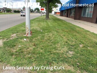 Lawn mowed in Southgate, 48195