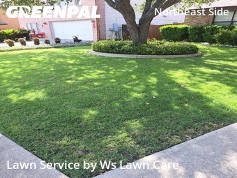 Lawn Mowing nearby Schertz, TX, 