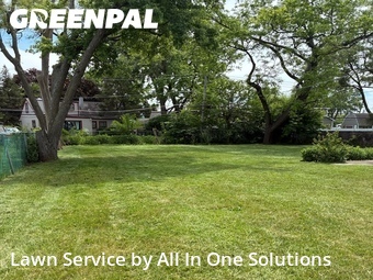 Lawn Cutting nearby Des Plaines, IL, 