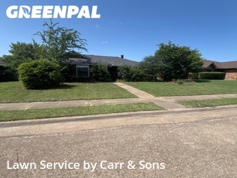Grass Cutting nearby Allen, TX, 