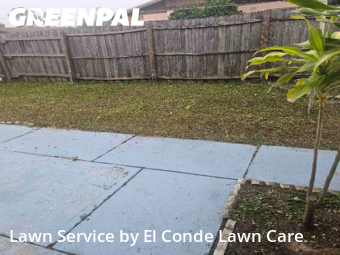 Lawn Mow nearby Kissimmee, FL, 