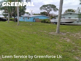 Lawn mowed in Palm City, 34990