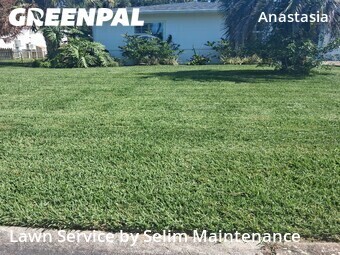 Lawn Cutting nearby St. Augustine, FL, 
