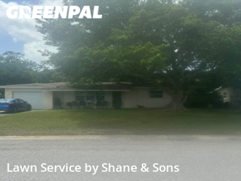 Grass Cutting nearby St. Petersburg, FL, 