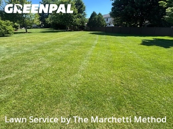Lawn Mowing Service nearby Aurora, IL, 