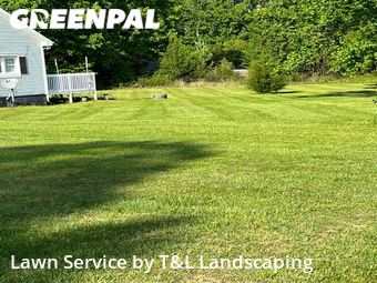 Grass Cutting nearby Forest, VA, 