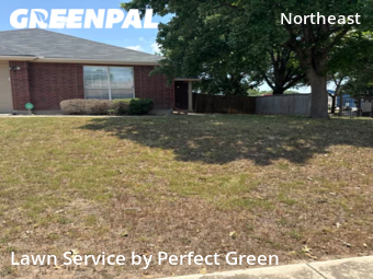 Lawn Mowing nearby San Antonio, TX, 