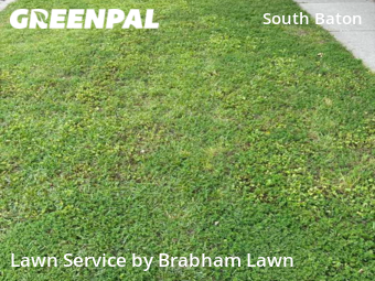 Lawn Mowing nearby Baton Rouge, LA, 
