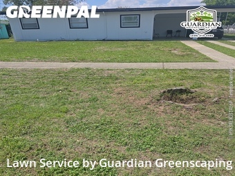 Yard Cutting nearby Port Charlotte, FL, 