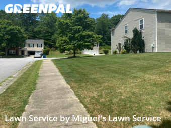 Lawn Care Service nearby Atlanta, GA, 