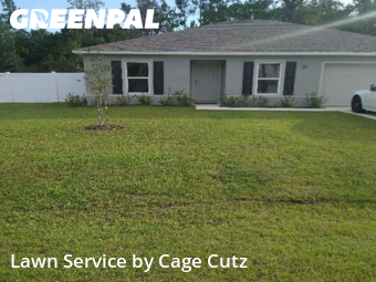Grass Cut nearby Palm Coast, FL, 