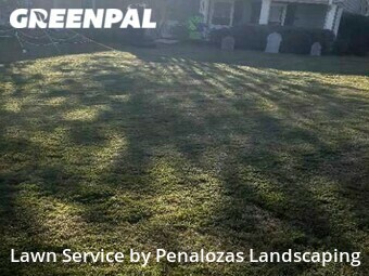 Lawn Care Service nearby Alpharetta, GA, 