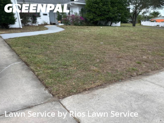 Lawn Care Service nearby Orlando, FL, 