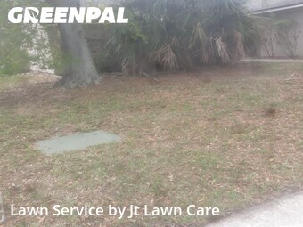 Lawn Mow nearby Palm Harbor, FL, 
