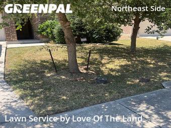 Lawn Maintenance nearby San Antonio, TX, 